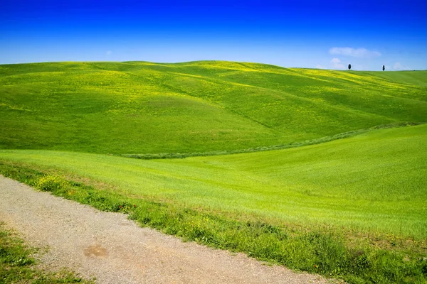 Widok na dolinę Val d'Orcia — Zdjęcie stockowe