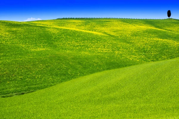 Вид на долину Орсия — стоковое фото