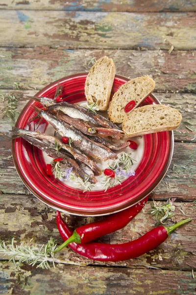 Plate of anchovies with chili pepper — Stock Photo, Image