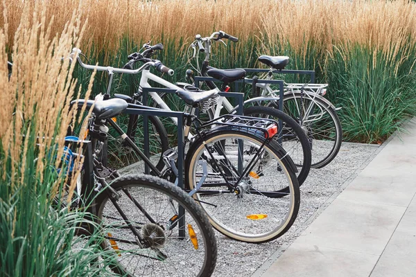 Bicicletas modernas en el aparcamiento moderno. Vida sana, transporte conveniente, protección del medio ambiente — Foto de Stock