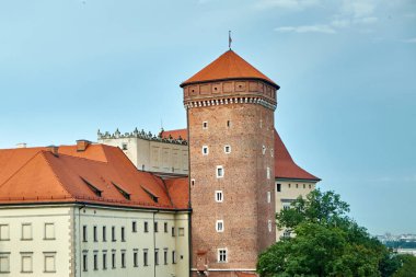 Krakow, seyahat, turizm, yaz, Wael Şatosu, mavi gökyüzü