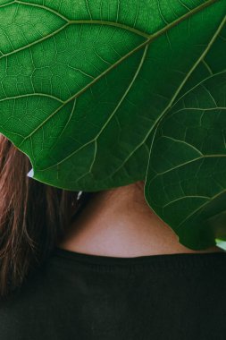 Büyük egzotik ev bitkisinin arkasında duran kadın. Çevre koruma, bakım ve sera etkisi kavramı