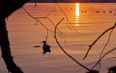Günbatımı güneş ışığı yansıması