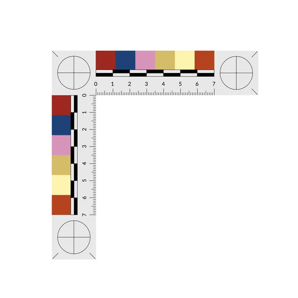 Righello di prova per misurare la dimensione e l'età dei lividi . — Vettoriale Stock