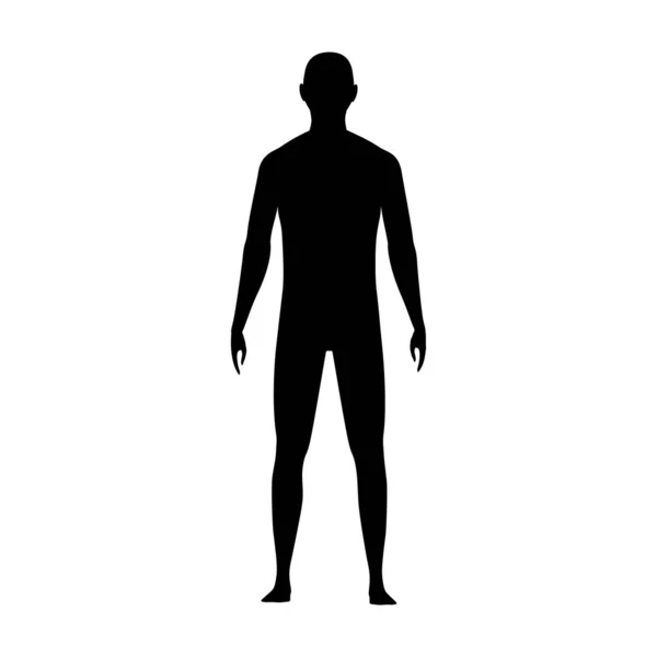 Vue de face silhouette du corps humain d'un homme adulte — Image vectorielle