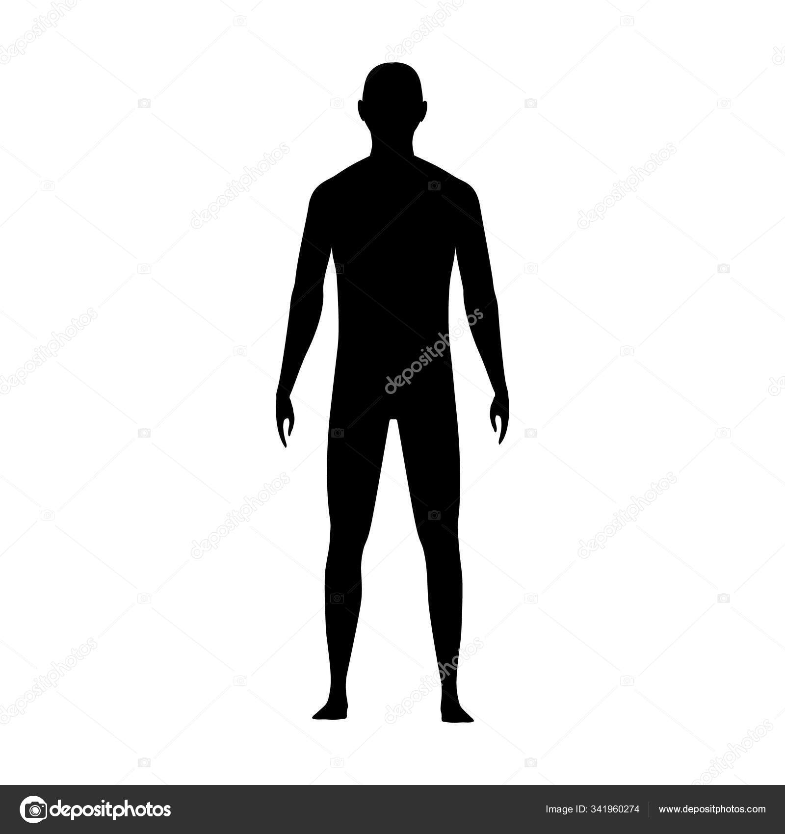 Front view human body silhouette of an adult male Stock Vector by  ©arseniuk_oleksii 341960274