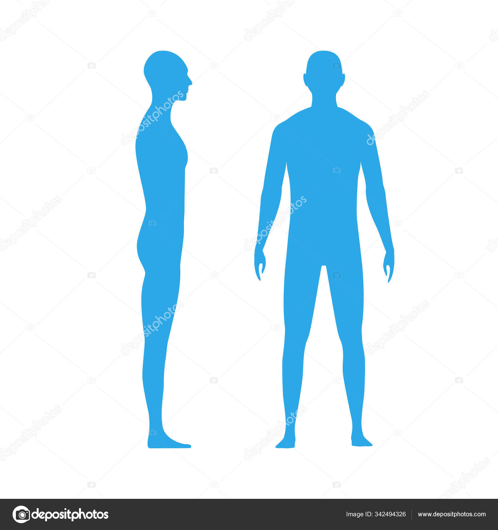 Human Anatomy Side View