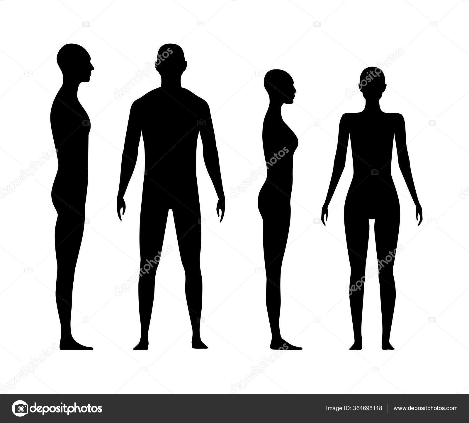 Front Side View Human Body Silhouette Adult Man Women Stock Vector by  ©arseniuk_oleksii 364698118