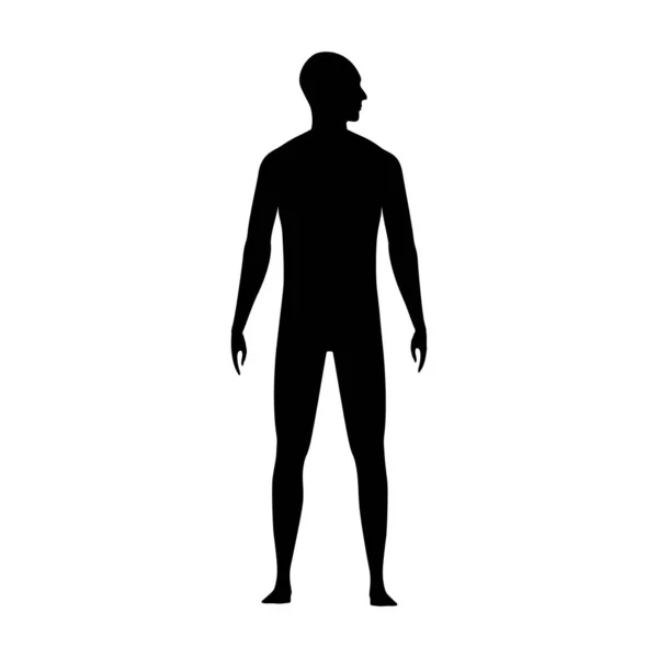 Front View Human Body Silhouette Adult Male Head Turned Side — Stock Vector