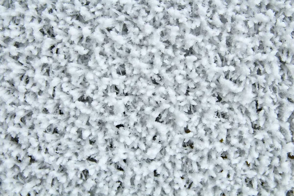 Gefrorenes Metallgewebe Das Bei Kälte Mit Frost Überzogen Ist Hintergrund — Stockfoto