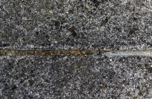 Detail of old concrete wall covered with lichens, horizontal crack. Vintage. Background. — Stock Photo, Image