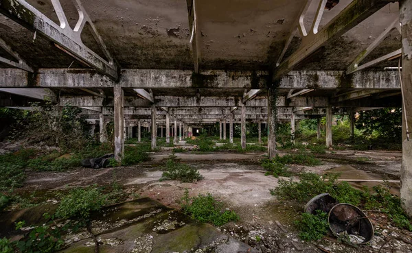 Imagen de almacén industrial abandonado donde se encuentra la vegetación — Foto de Stock