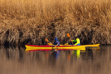 İki kürekçi bir sonbahar sabahı nehirde yelken açar.