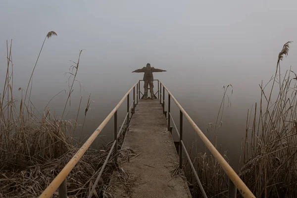 Człowiek Otwartymi Ramionami Zamarzniętym Molo Okryty Mgłą — Zdjęcie stockowe
