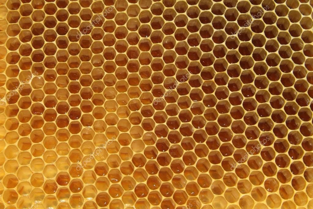 Comment avoir des abeilles dans une ruche ?