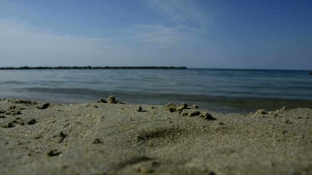 Fale morskie złamać na plaży — Wideo stockowe