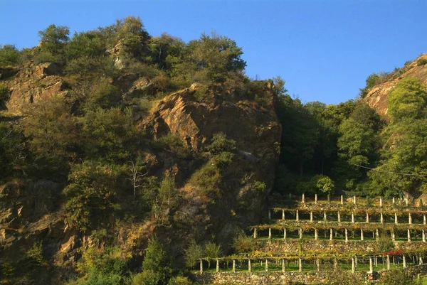 Виноградники Канавезе - недалеко від селища Cesnola, Італія. — стокове фото