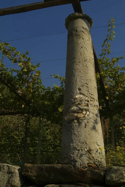 Canavese - bağlarına yakın küçük bir köy Cesnola, İtalya.
