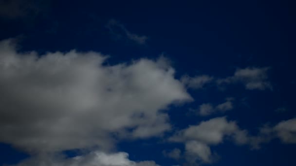 Cumulonimbus ในท้องฟ้าสีฟ้ากับลม Time-Lapse — วีดีโอสต็อก
