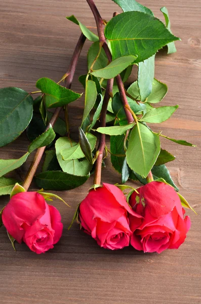 Tres rosas rojas sobre un fondo marrón —  Fotos de Stock