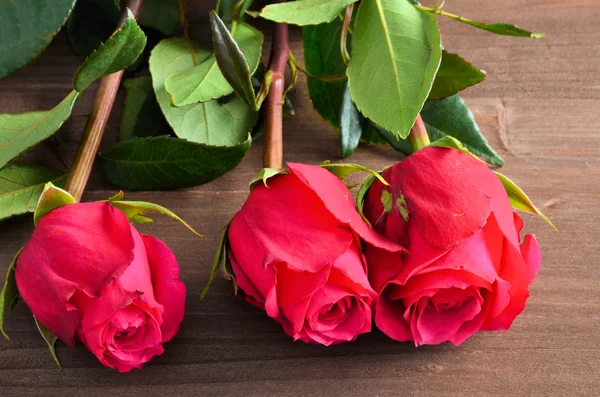 Tři červené růže hnědé pozadí — Stock fotografie