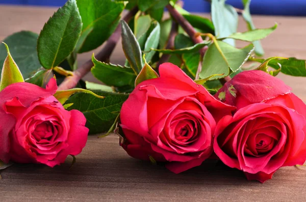 Tres rosas rojas sobre un fondo marrón —  Fotos de Stock