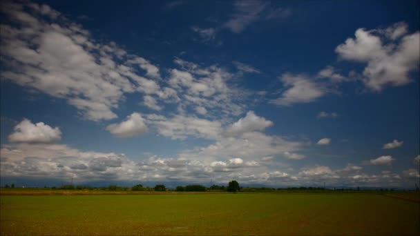 Imagem do campo de grama verde e céu azul brilhante; timelapse — Vídeo de Stock