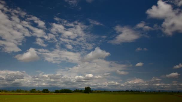 Image du champ vert et du ciel bleu vif   timelapse 