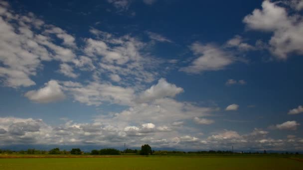 Imagem do campo verde e céu azul brilhante; timelapse — Vídeo de Stock