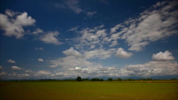 Imagen de campo verde y cielo azul brillante; timelapse — Vídeo de stock