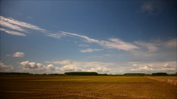 Immagine di campo e cielo blu brillante; timelapse — Video Stock