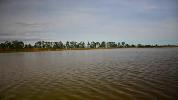 Cygnes sur rizière avec montagnes des Alpes fond dans le Piémont, Italie 
