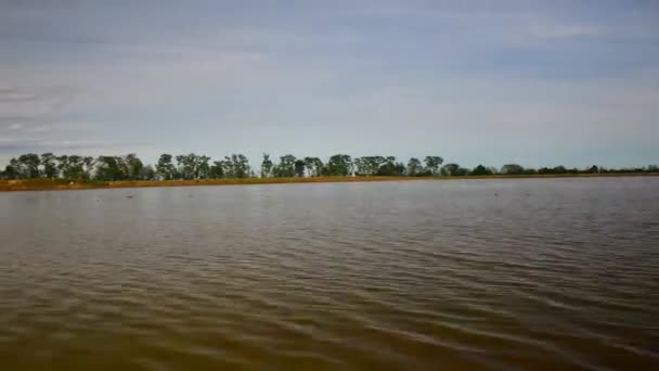 Cygnes sur rizière avec montagnes des Alpes fond dans le Piémont, Italie 