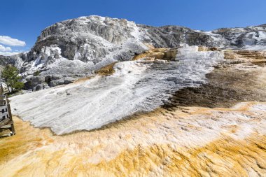 Yellowstone Ulusal Parkı 'ndaki Mamut Kaplıcaları, Wyoming, ABD. 