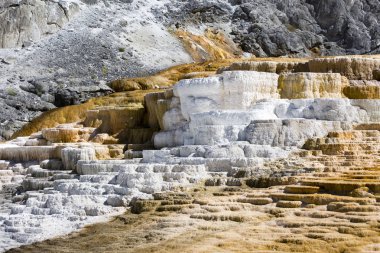 Höyüğün Bahar, mamut sıcak Yellowstone Ulusal yaylar 