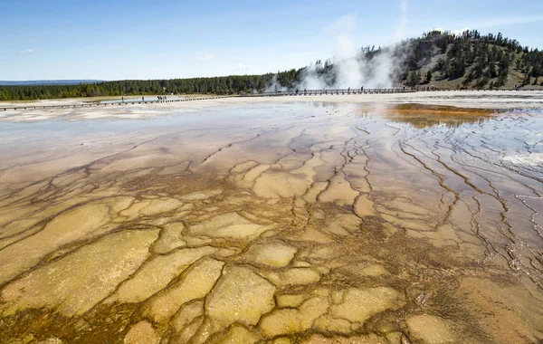 Gran Primavera Prismática en el Parque Nacional de Yellowstone - Wyoming, U — Foto de Stock