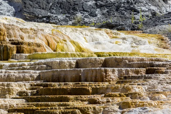 El manantial de Mamut Hot Springs en Yellowstone National — Foto de Stock