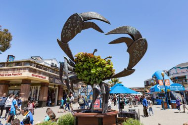 San Francisco, California - 18 Temmuz: Pier 39 fisherman's wharf bir