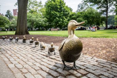Yol için ördek yavrusu, Boston kamu bahçe yapmak