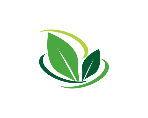 Modelo de logotipo de folha de árvore — Vetor de Stock