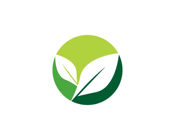 Modèle de logo feuille d'arbre — Image vectorielle