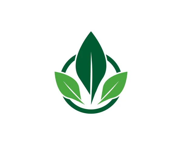 Modèle de logo feuille d'arbre — Image vectorielle