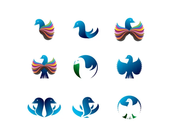 Coleção de logotipo pássaro — Vetor de Stock