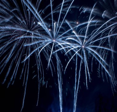 Çiçek gibi güzel beyaz mavi havai fişek