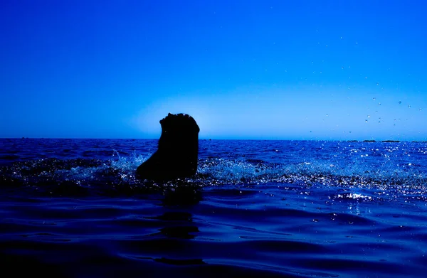 En sjöjungfru framträder från havet (13) — Stockfoto