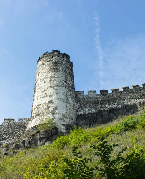 Bezdez 城堡大塔景观 — 图库照片