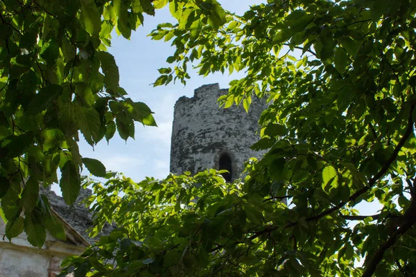 城堡塔的看法在树的分支. — 图库照片