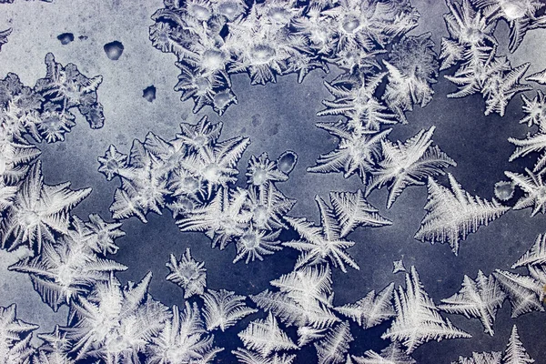 Ornamentos em uma janela congelada como estrelas do mar — Fotografia de Stock