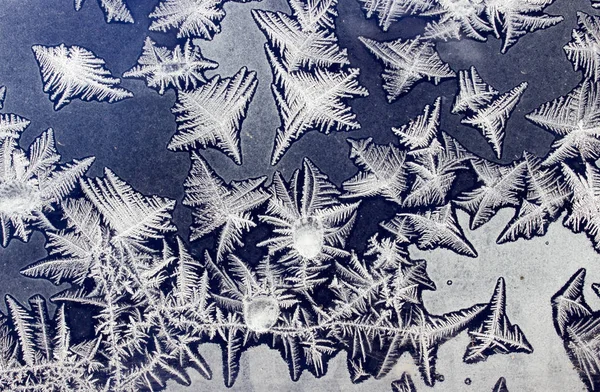 Ornamentos em uma janela congelada como estrelas do mar (4 ) — Fotografia de Stock