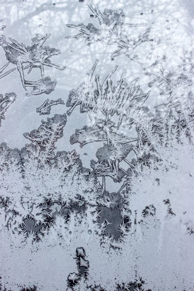 Uma vista de galhos de árvore através de uma janela congelada — Fotografia de Stock